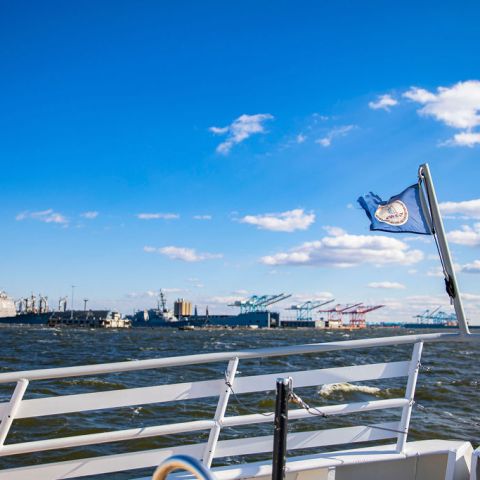 Cranes at Norfolk International Terminal