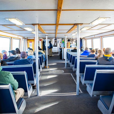 Victory Rover Interior Cabin