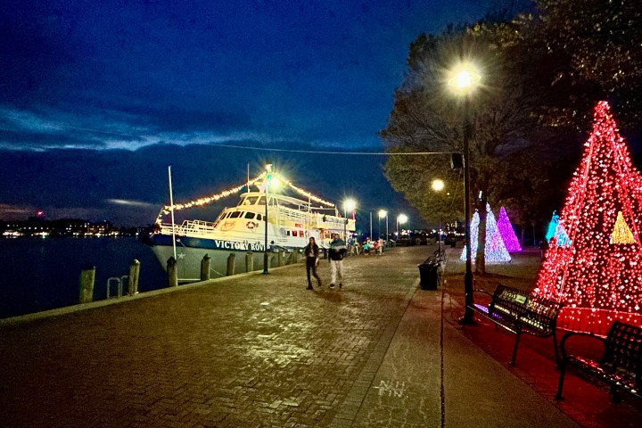 Nighttime harbor scene with a lit boat and red light trees along the walkway.