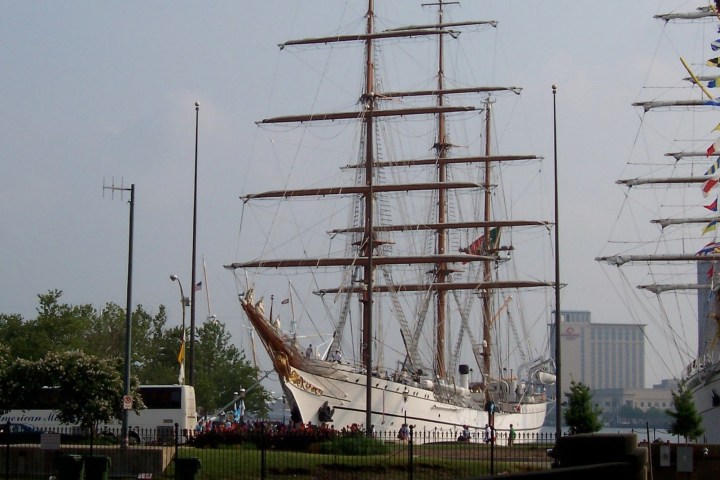 Two tall ships with multiple masts docked, surrounded by trees and buildings in the background.